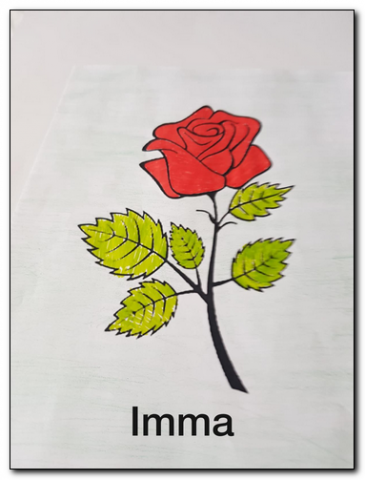 Sant Jordi 2020