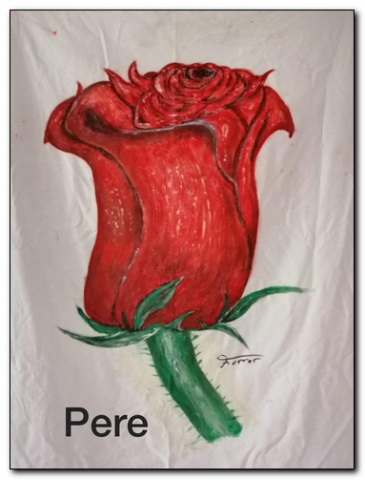 Sant Jordi 2020