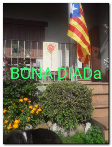 Sant Jordi 2020