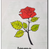 Sant Jordi 2020