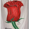 Sant Jordi 2020