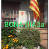 Sant Jordi 2020