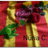 Sant Jordi 2020