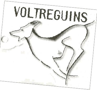 Logo Voltreguí